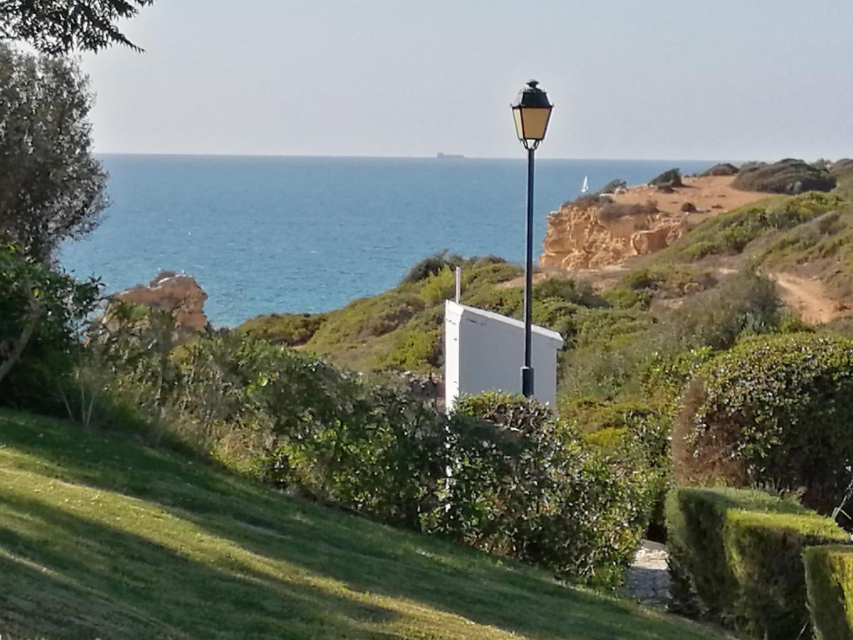 Ocean Terraces By Vila Gaivota D Ferragudo  Extérieur photo